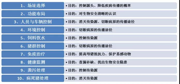 生物安全十大关键点的目的和意义