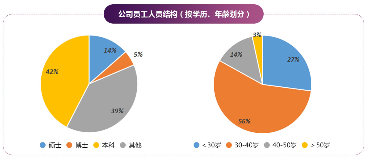 公司员工人员结构